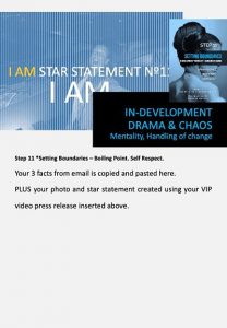 stars and heroes, profiling of character, vip report, step 11