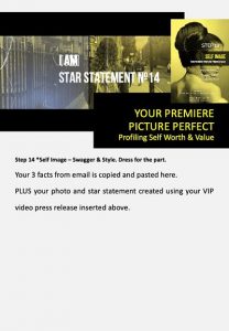 stars and heroes, profiling of character, vip report, step 14